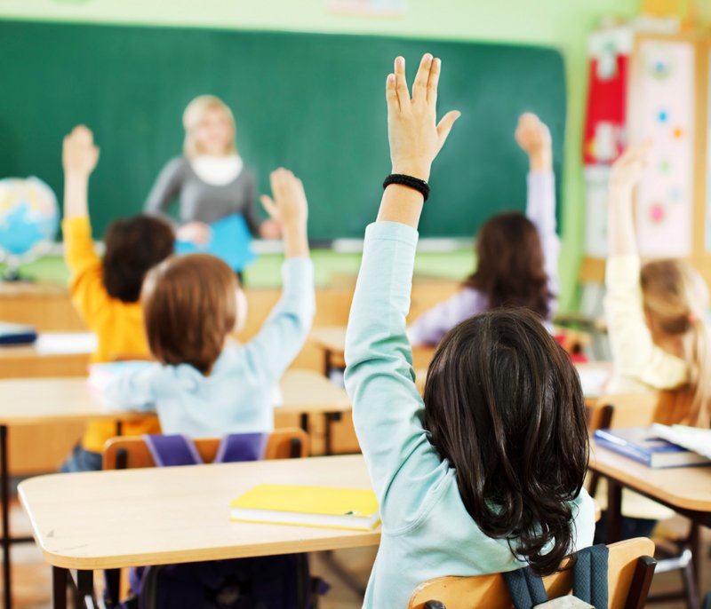 Gallery Component title-img